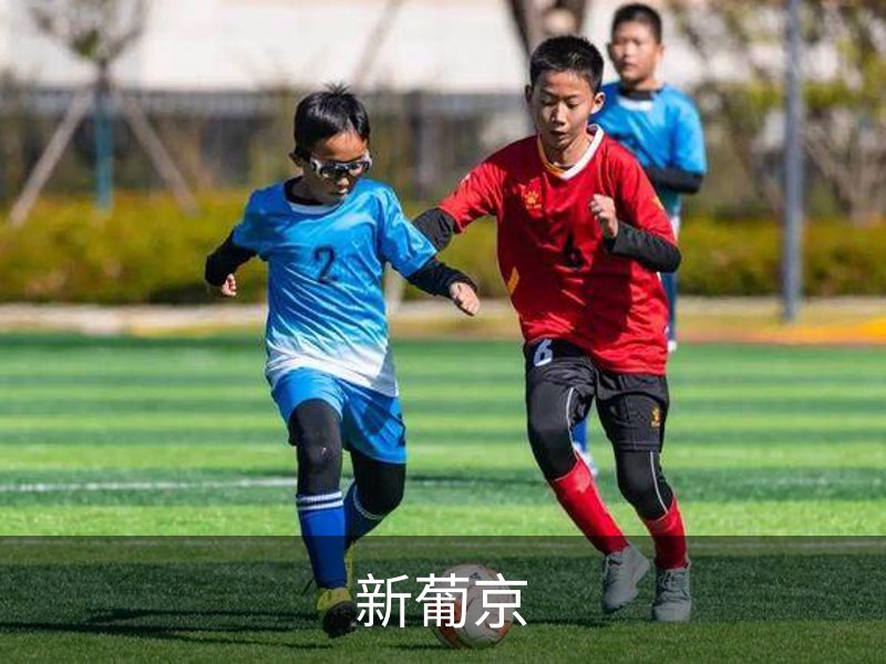 了解新葡京